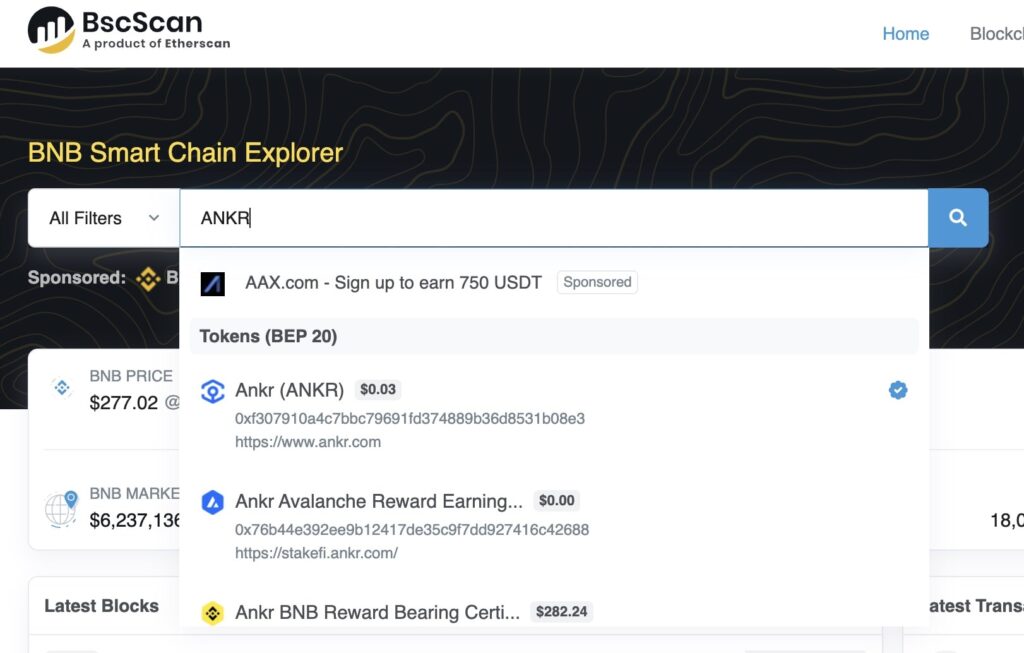 Search for the token on a BSCscan