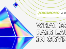 What is a Fair Launch in Crypto?