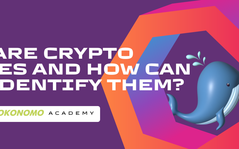Who Are Crypto Whales and How Can You Identify Them?