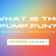 What Is the Pump.Fun? The Emerging Meme Coin Giant