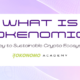 What is Tokenomics: The Key to Sustainable Crypto Ecosystems